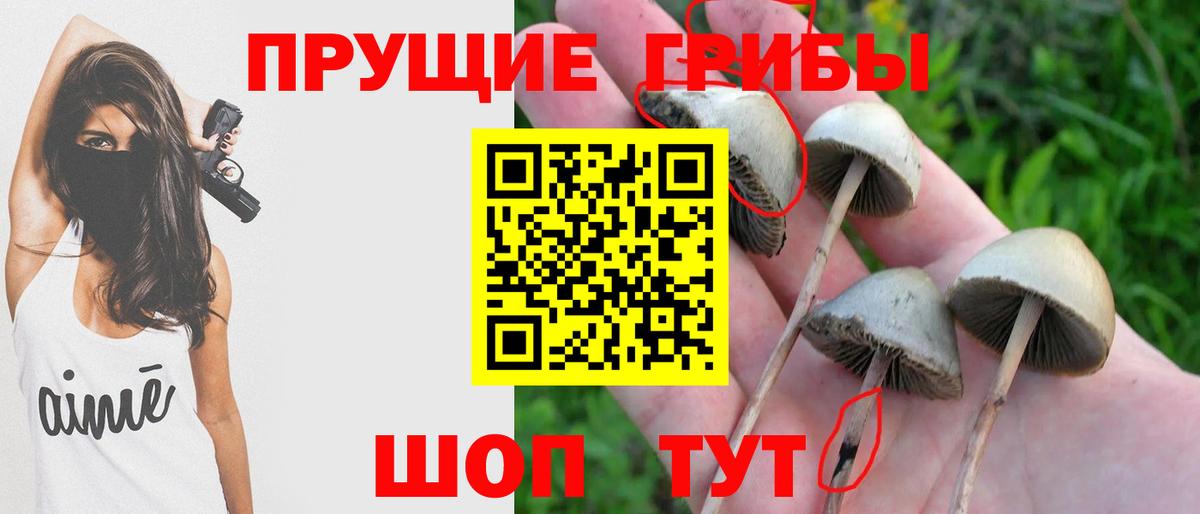 Елец  Псилоцибиновые грибы прущие грибы  Вход с VPN 